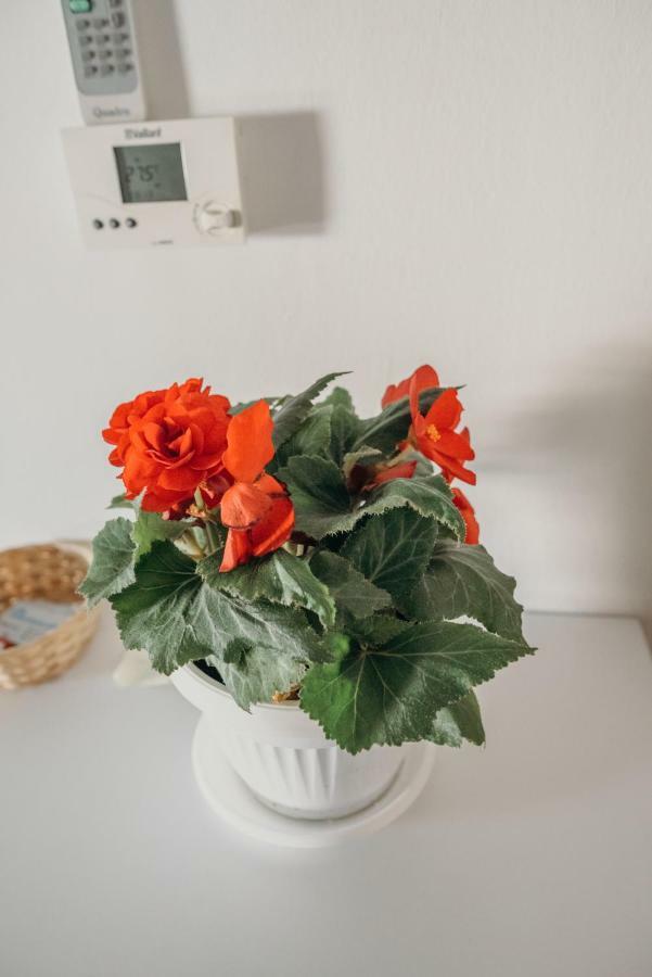 Apartman "Joka" Ðakovo Екстериор снимка